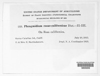 Image Associated With the Occurence